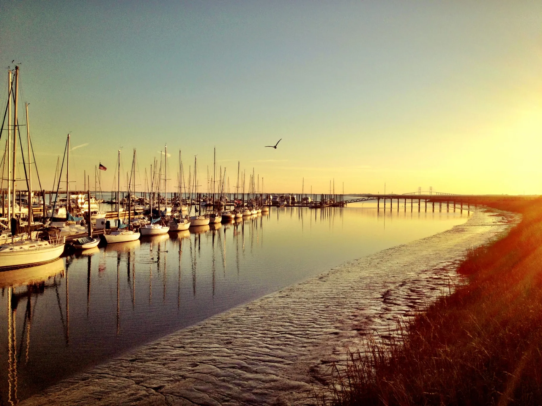 Commercial real estate market overview — St. Simons Island / Brunswick, GA, Georgia